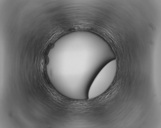 X0000113740915200909230942