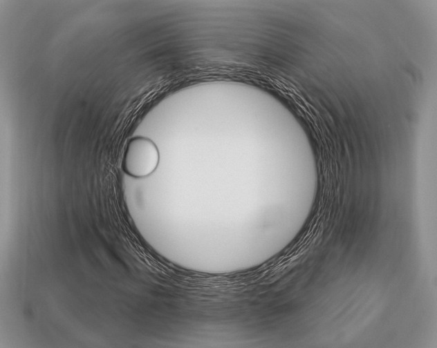 X0000113740916200909230942