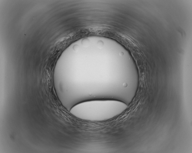 X0000113740917200909230942