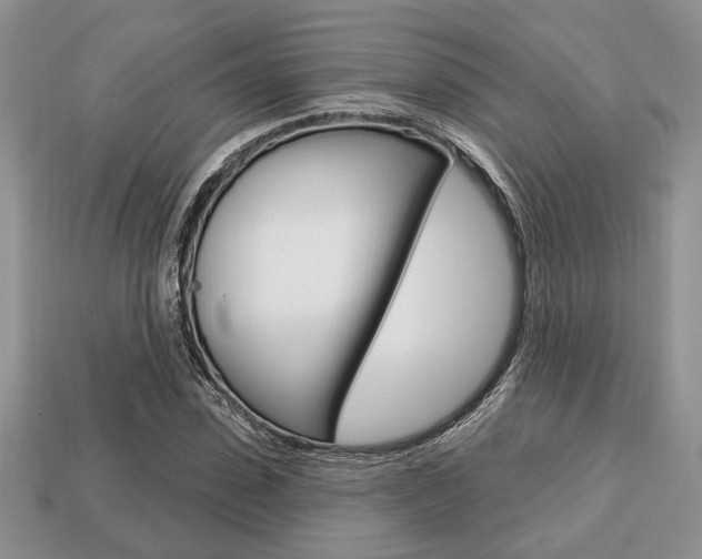 X0000113740923200909230943