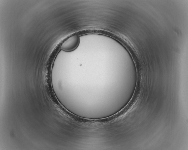 X0000113740926200909230943