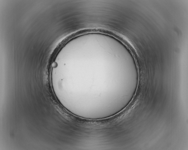 X0000113740927200909230943