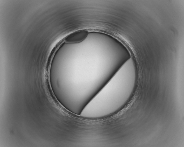 X0000113740928200909230943