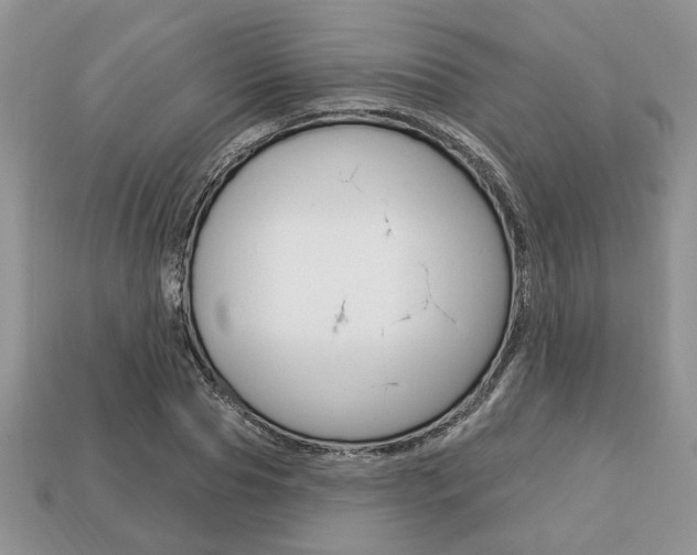 X0000113740929200909230943