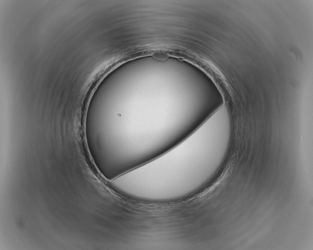 X0000113740930200909230943