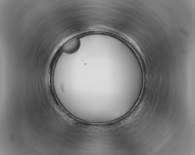 X0000113740931200909230943