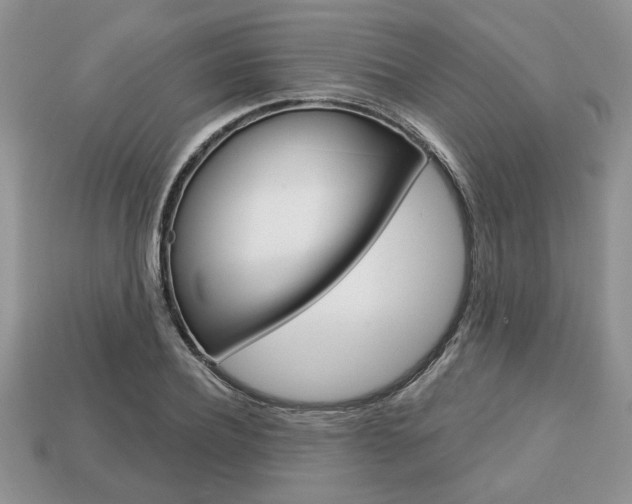 X0000113740932200909230943