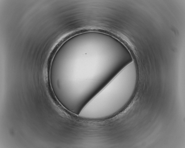 X0000113740934200909230943