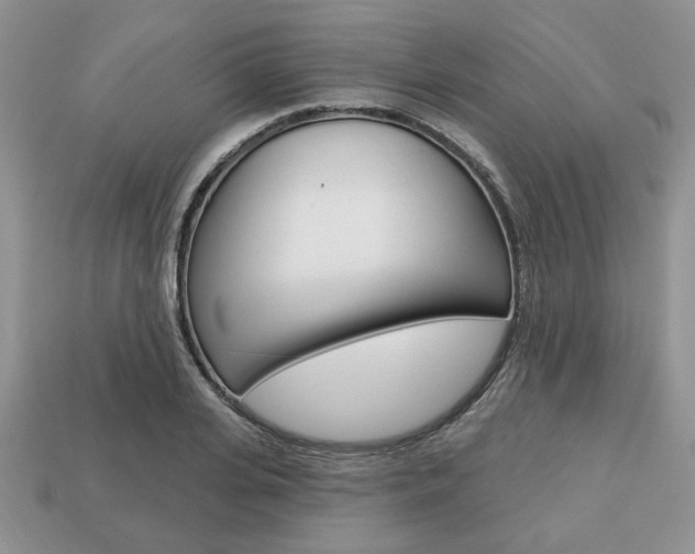 X0000113740935200909230943