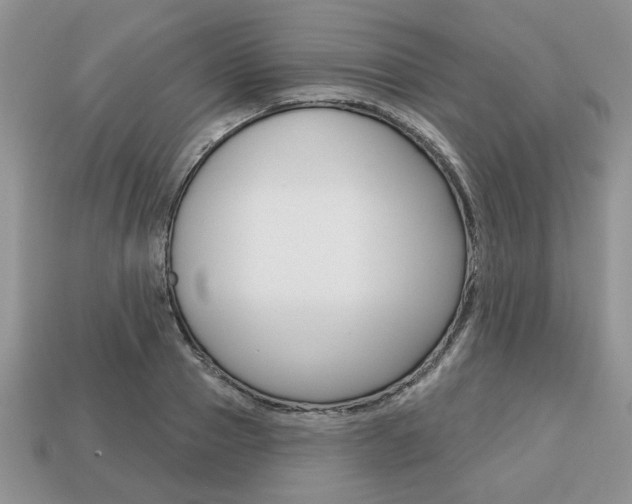 X0000113740937200909230943