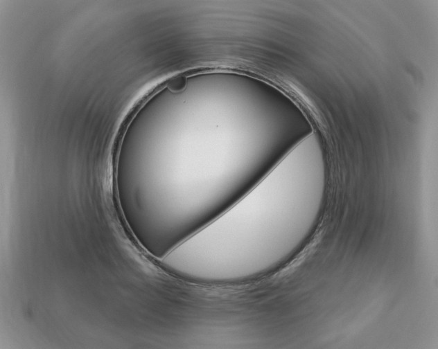 X0000113740940200909230943