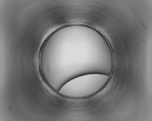 X0000113740941200909230943