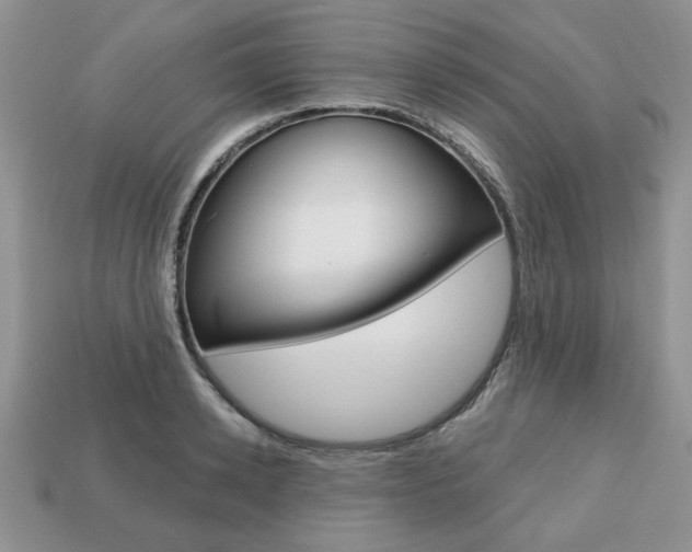 X0000113740942200909230943