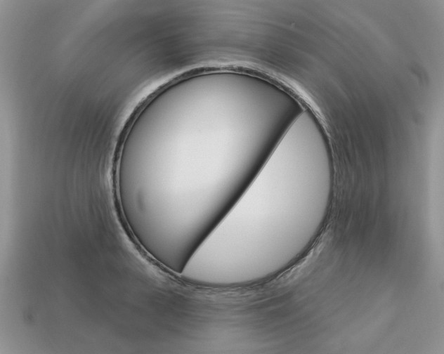 X0000113740943200909230943