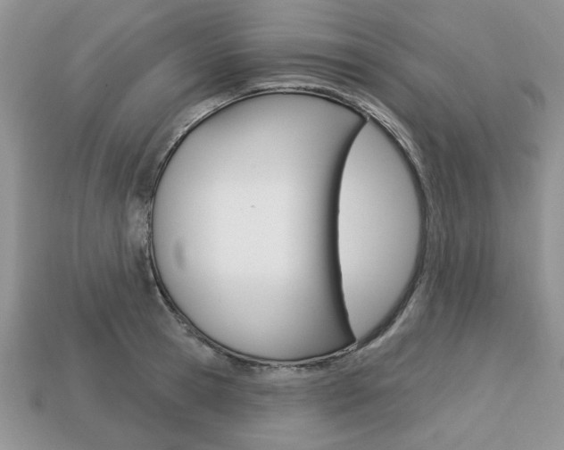 X0000113740945200909230943