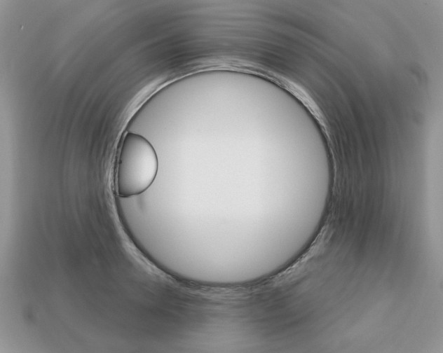 X0000113740946200909230943