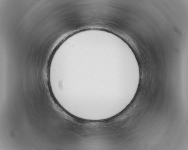 X0000113740950200909230943