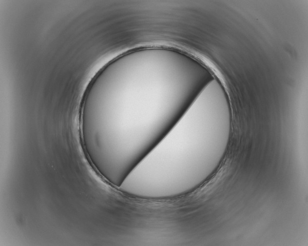 X0000113740951200909230943