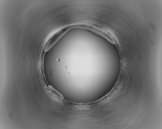 X0000113740952200909230943