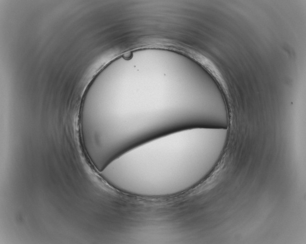 X0000113740954200909230943