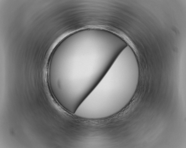 X0000113740955200909230943