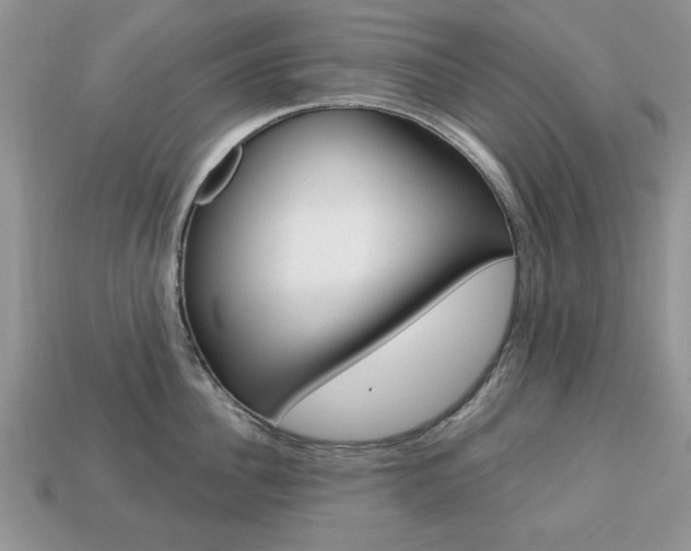 X0000113740956200909230943