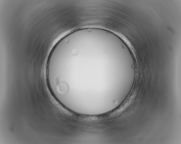 X0000113740957200909230943