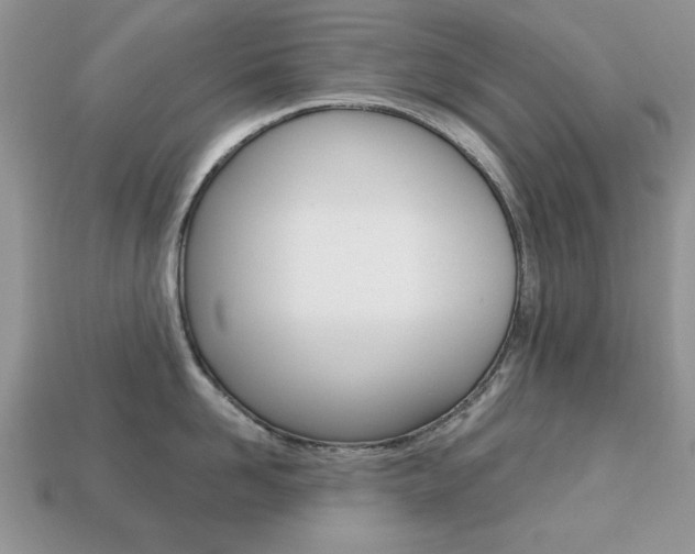 X0000113740958200909230943