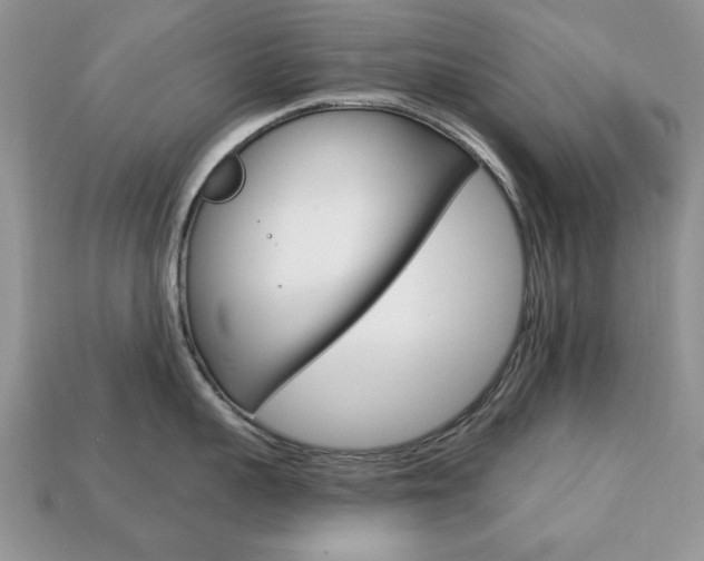X0000113740959200909230943