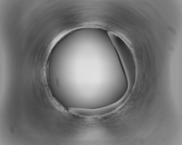 X0000113740960200909230943