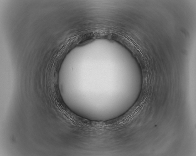 X0000113740961200909230942