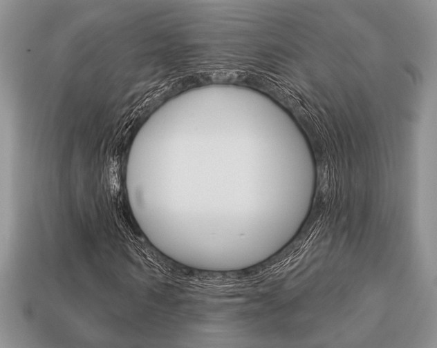 X0000113740962200909230942