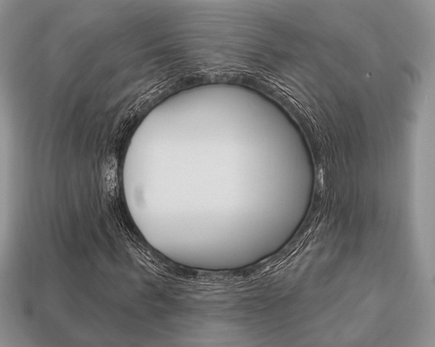 X0000113740963200909230942