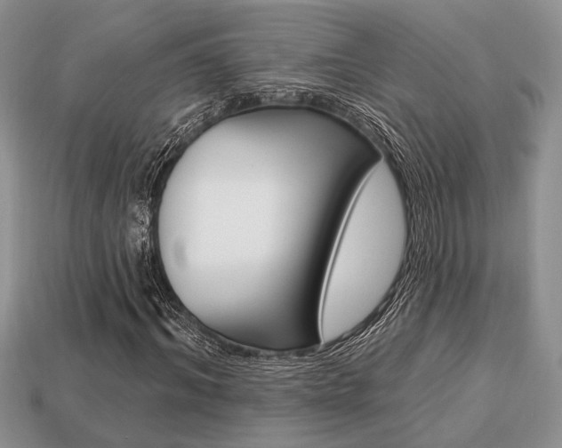 X0000113740964200909230942