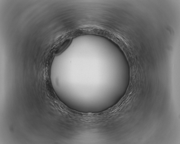 X0000113740965200909230942