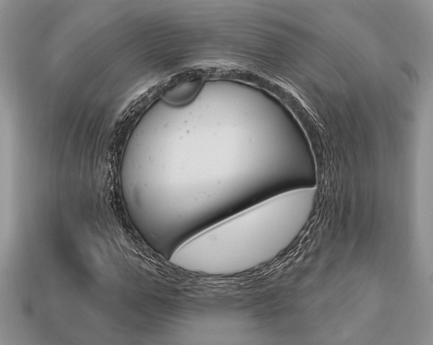 X0000113740967200909230942