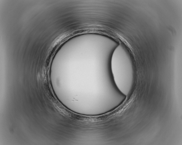 X0000113740970200909230942