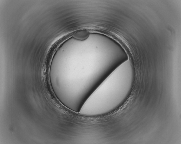 X0000113740971200909230942