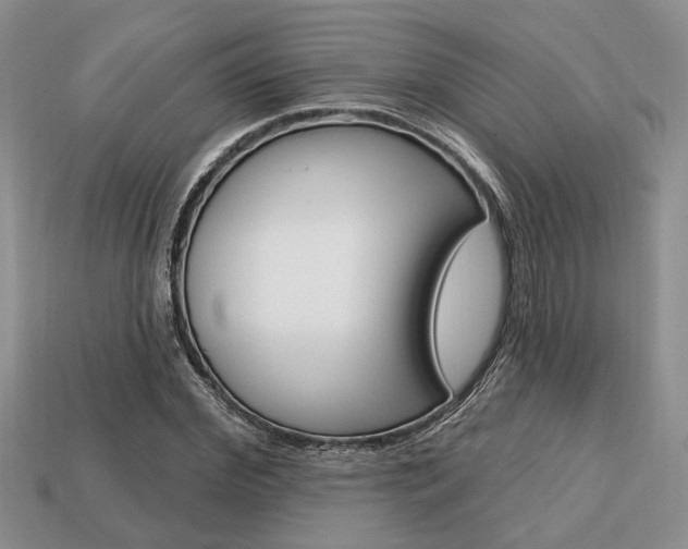 X0000113740972200909230942