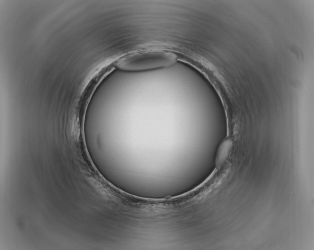 X0000113740973200909230942