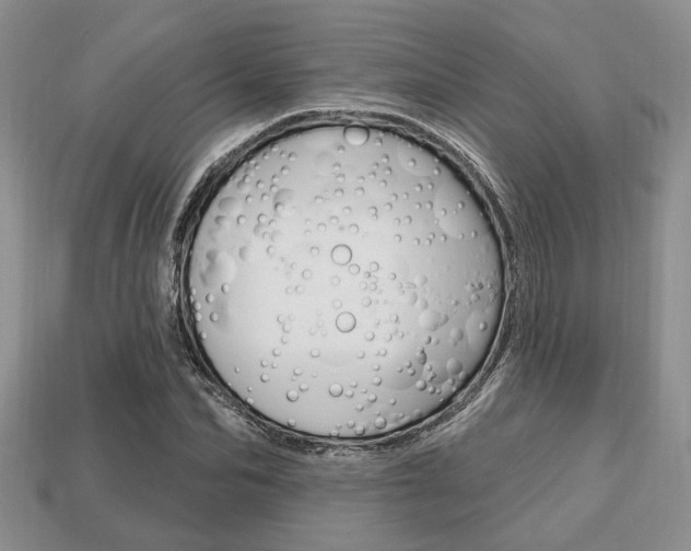 X0000113740974200909230942