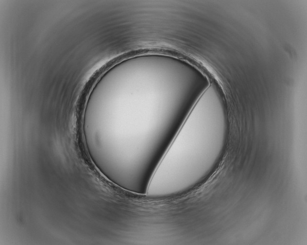 X0000113740975200909230942