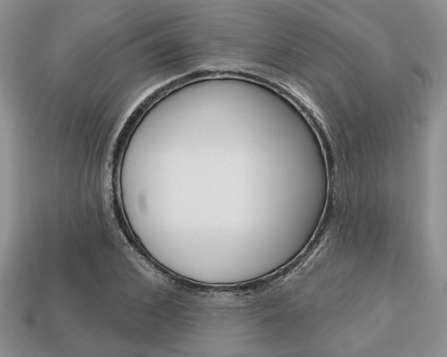 X0000113740976200909230942