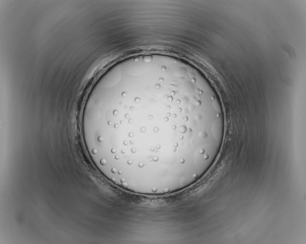 X0000113740978200909230942