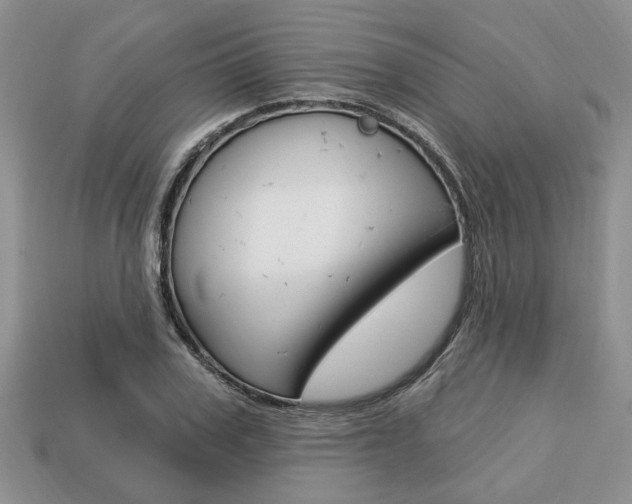 X0000113740979200909230942