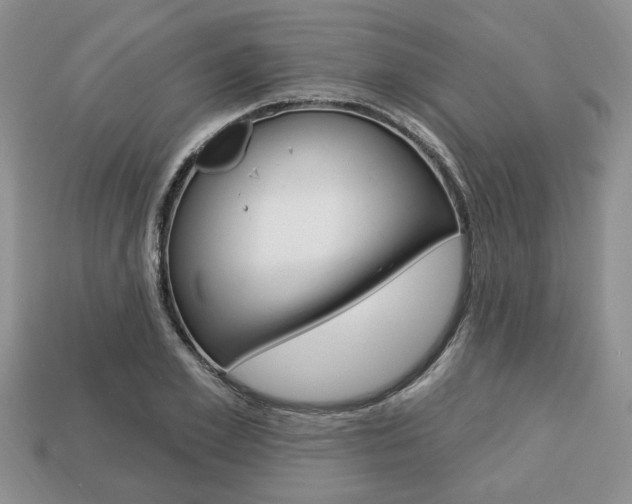 X0000113740981200909230942