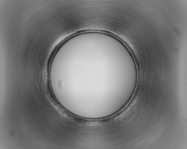 X0000113740982200909230942