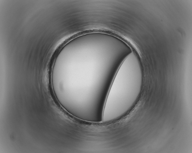 X0000113740983200909230942