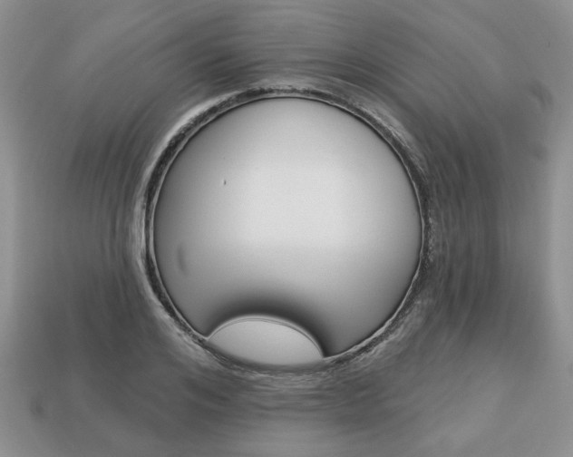 X0000113740984200909230942