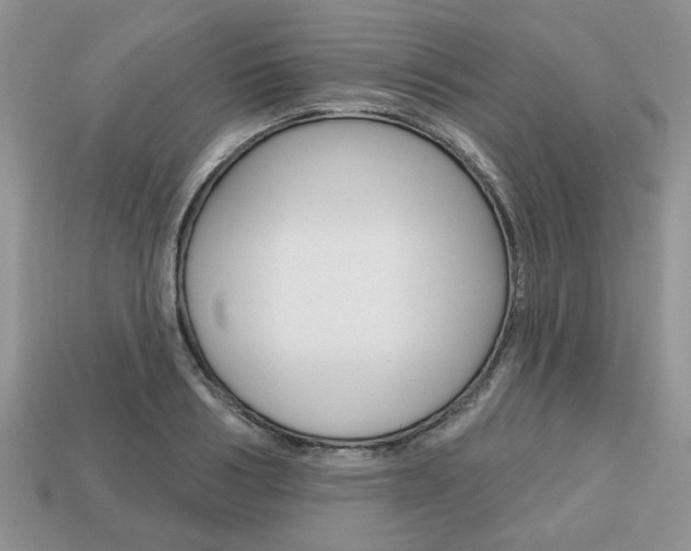 X0000113740986200909230942